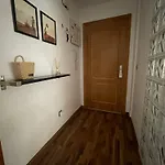 Piso Centrico En Apartman Elche